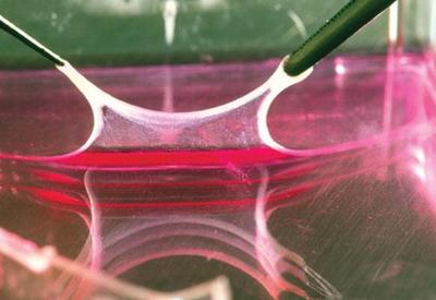 視頻_中國塑料機械網